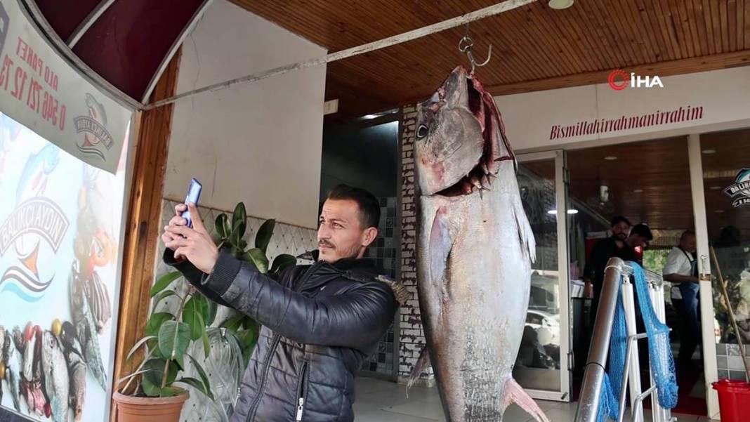 İnsan boyunda dev balık, görenlere küçük dilini yutturdu! O kentte sergileniyor 14